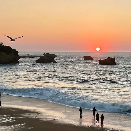 Résidence Régina Et Golf Vue *